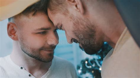close up gay male couple covered with rainbow flag celebrating christmas stock image image of