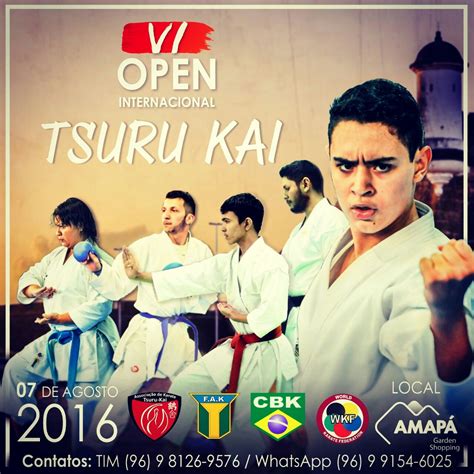 Sistema Ronin 6º Open Tsuru Kai De Karate