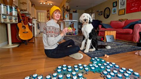 Bunny The ‘talking Dog From Tacoma Is Tiktok Sensation The Olympian