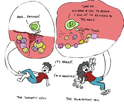 Cell Puns