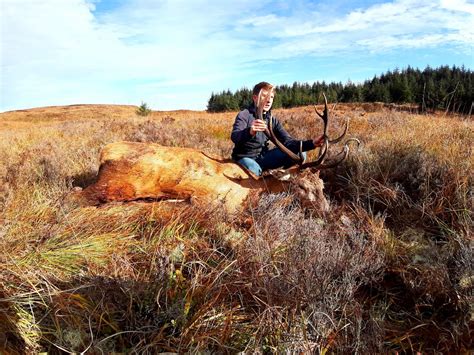Red Stags Game Hunting Ireland
