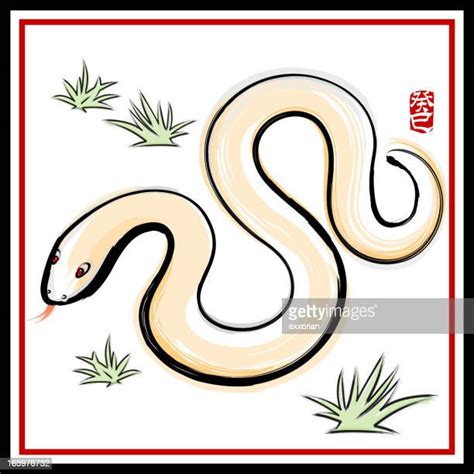Chinese Snake Photos And Premium High Res Pictures Getty Images