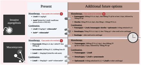 Salvage Treatment For Invasive Aspergillosis And Mucormycosis Idr