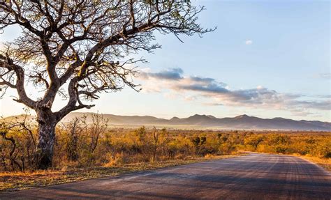 Luxury Kruger National Park Safaris South Africa Hotels And Holidays