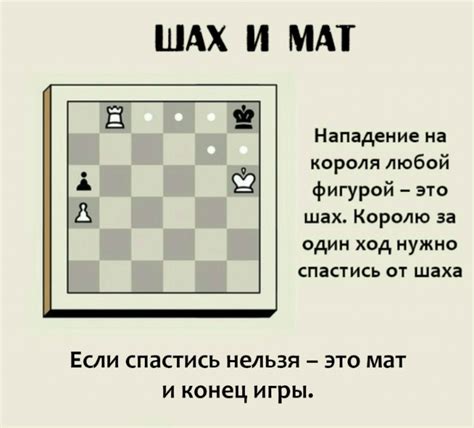 Шахматы правила игры для новичков с картинками НАУМЁНОК