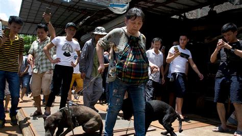 China City Holds Dog Meat Eating Festival Despite Protests