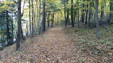 Foster Blake Woods Nature Trail Nny Trails