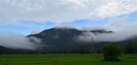 Ritigala Mountain Sri Lankan Famouse And Highest Mountains