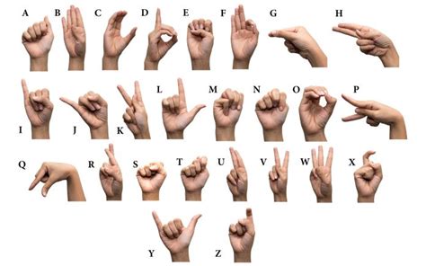 International Day Of Sign Language Great American Pot Pie Day Ellis