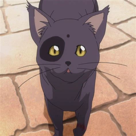 Pictures 15 Cute Anime Cats Best Cats Character Anime List 2020