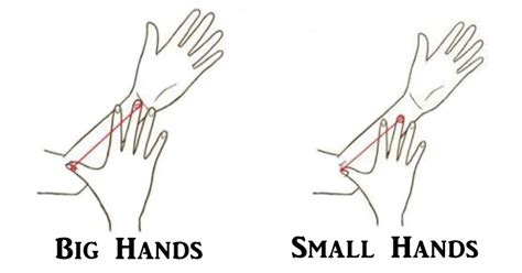 This Is What Your Hand Size Says About Your Personality