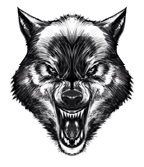 Wolf Tattoo Wolf Face Drawing Wolf Face Tattoo Werewolf Tattoo Wolf