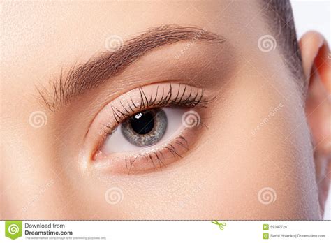 Natural Eye Makeup Stock Photo Image Of Makeup Natural