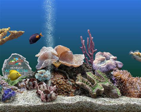 Dream Aquarium Screensaver Download