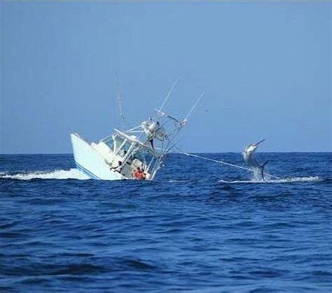 Sh T Happens Sometimes 30 Pics FunnyFoto Marlin Saltwater