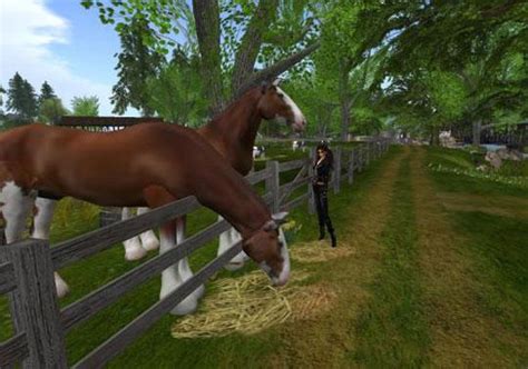 Virtual Horse Games Online For Free Howrse Boring Online Horse