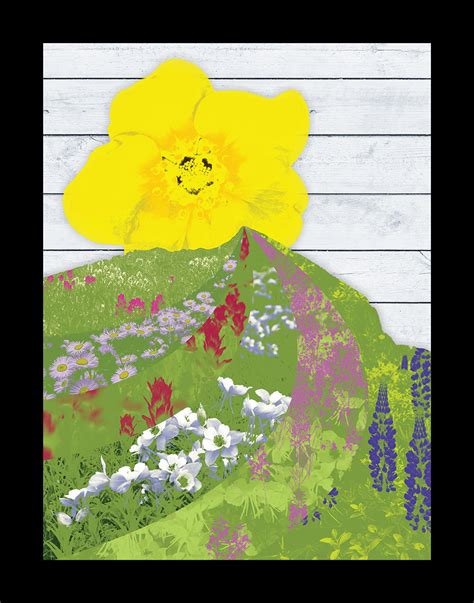 Poster Art For The Crested Butte Wildflower Festival — Studio Nhr