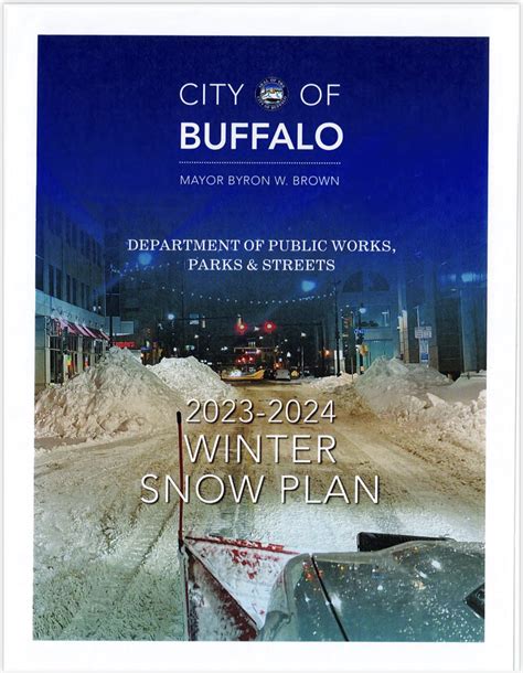 Buffalo Snow 2024 Tony Aigneis