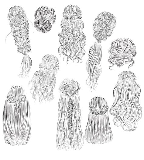 Hairstyles Vector Illustrations 2 Hair Sketch Hair Vector Ponytail