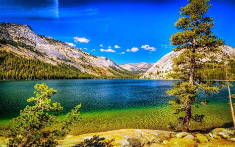Nature Landscape Lake Mountains Forest Summer Trees Blue Sky Yosemite National Park