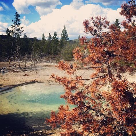 Instagram Yellowstone National Park Photos Amerika Blog Stripes And Stars