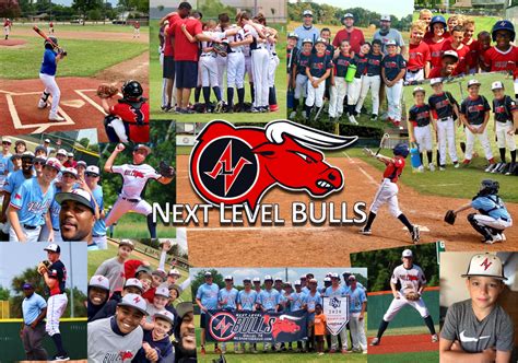 Bulls Baseball Next Level Sports Group Premier Baseball Softball