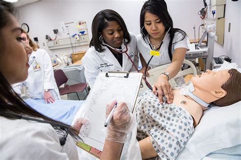 Undergraduate University Of Maryland School Of Nursing