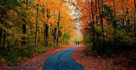 Blogger Gives Tips For Celebrating Autumn, Wisconsin Style | Wisconsin Public Radio