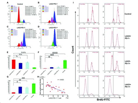 determination of the proliferation of t cells with double or download scientific diagram