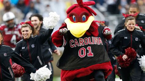 Cocky Named One Of The Top 10 College Mascots Of All Time