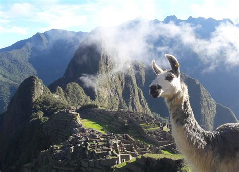 Tour Machu Picchu Rainbow Mountain Days Cusco Machu Picchu