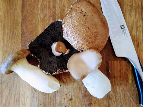 Sometimes mushrooms don't get slimy, but they do dry out and get wrinkles. Dehydrating Mushrooms - The Best Way Of Preserving ...