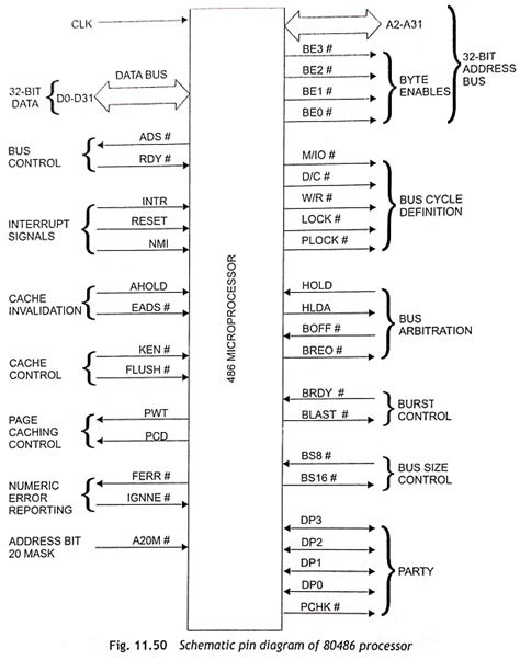 Pin Diagram Of 80486 Microprocessor Eeeguidecom