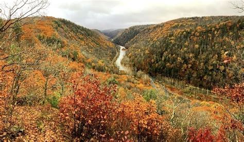 Visit Pine Creek Gorge For Some Of The Best Leaf Peeping In Pennsylvania