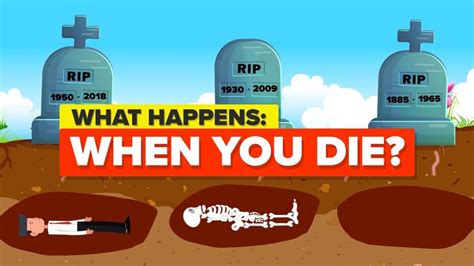 Video Infographic What Happens When You Die Infographictv