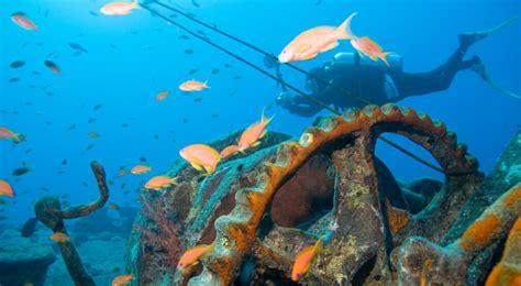 Best Uk Universities To Study Marine Biology Study In Uk