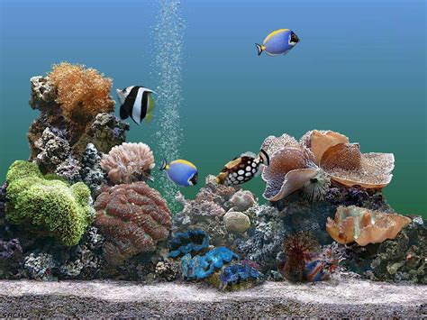 49 Free Animated Fish Aquarium Wallpaper Wallpapersafari
