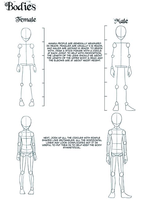 How To Draw A Anime Body Step By Step