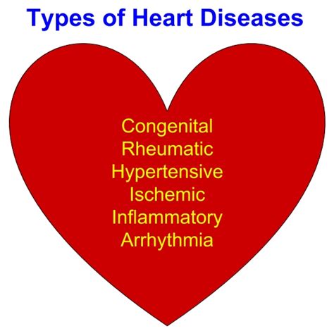 Different Types Of Heart Disease Cardiophile Blog