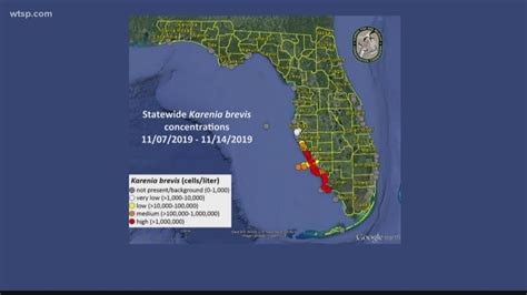 Red Tide Florida 2021 Map Map Of Aegean Sea