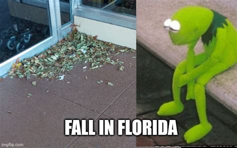 Fall In Florida Imgflip