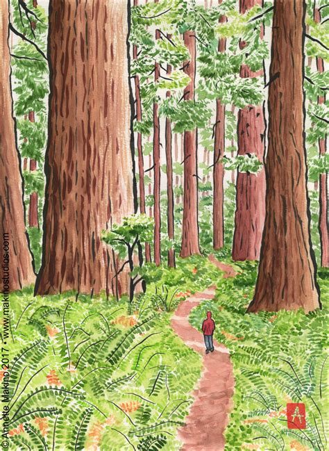 02 119 Redwood Forest Art Print Etsy