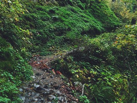 Horsetail Creek Trail Corbett Oregon October Big Gulps Huh
