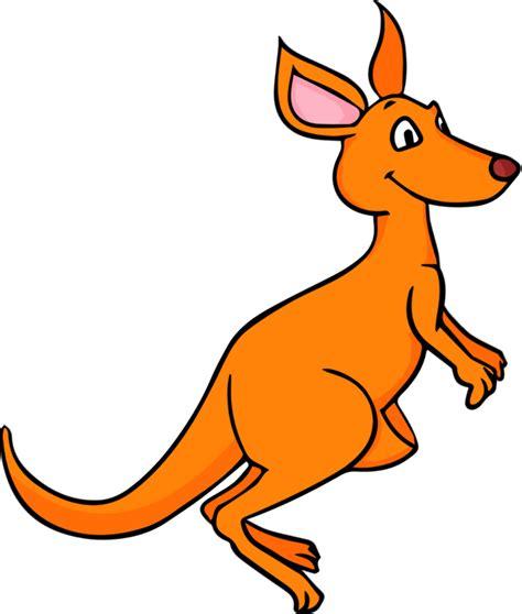Cartoon Kangaroo Vector Png