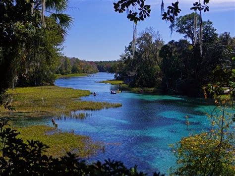 9 Of The Most Beautiful Natural Wonders In Florida Tripstodiscover