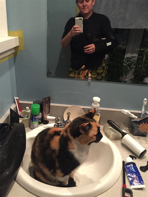 In The Sink Mirror Selfie Scenes Sink
