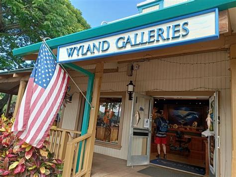 wyland galleries haleiwa 2020 all you need to know before you go with photos tripadvisor