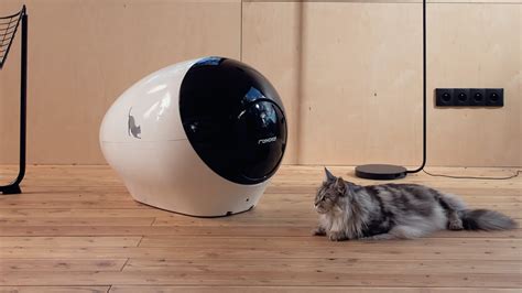 This Intelligent Litter Box Is The Innovative Way To Care For Your Cat