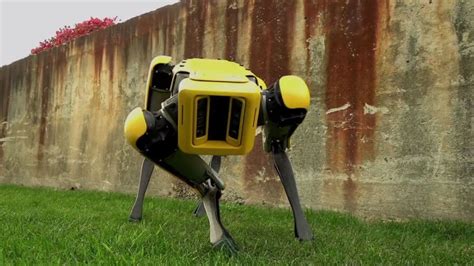 9 Robot Animals Built From Natures Best Kept Secrets