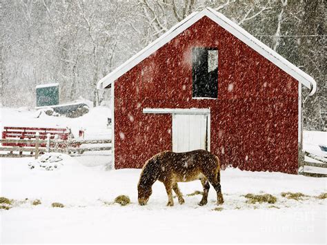 Vermont Christmas Eve Snowstorm Photograph By Edward Fielding Pixels